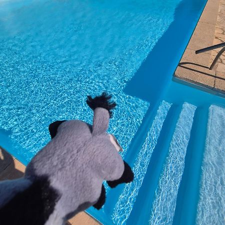 Havre De Paix Appart Climatise,Piscine,Wifi Le Barcares Exterior photo