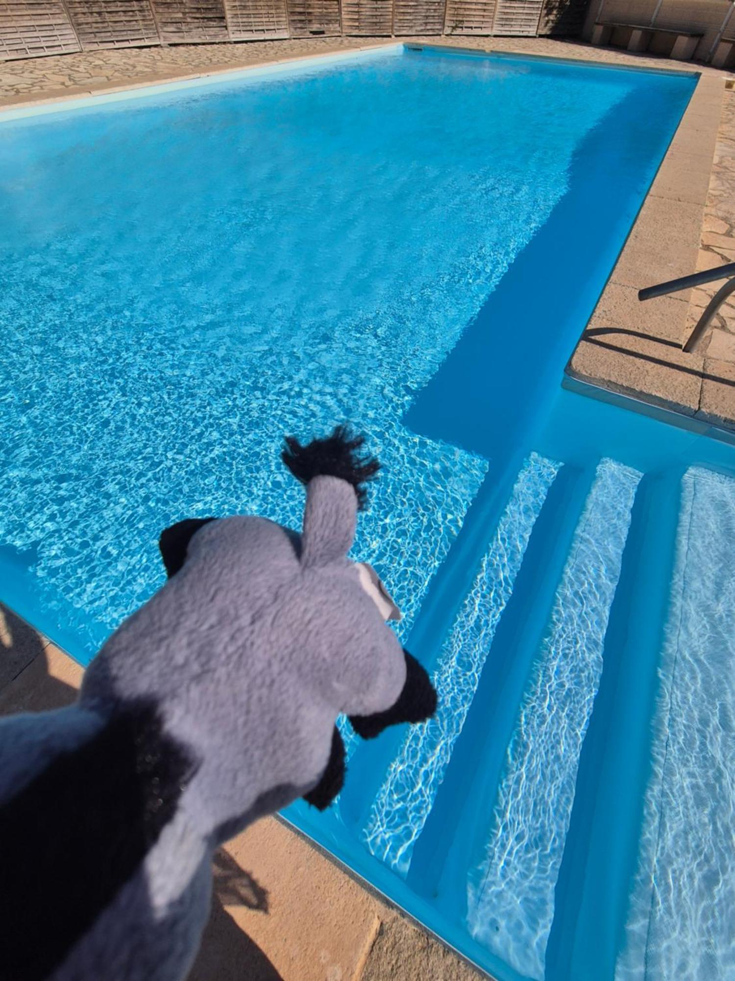 Havre De Paix Appart Climatise,Piscine,Wifi Le Barcares Exterior photo